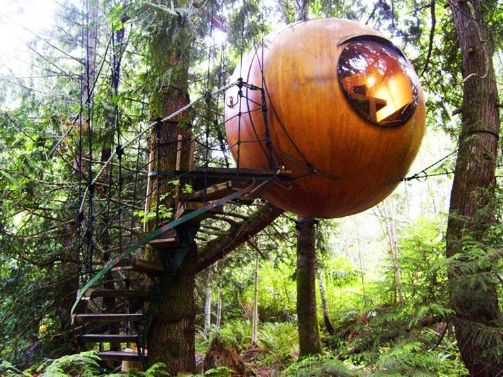 Free Spirit Spheres in Canada