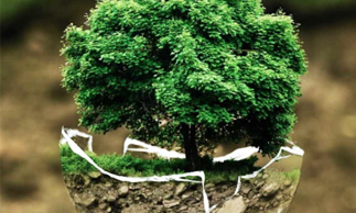 workshop-on-conservation-and-adaptive-reuse-by-aishwarya-tipnis