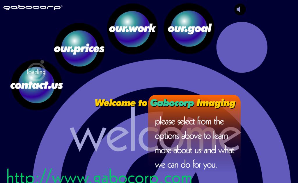 Web design of Gabocorp