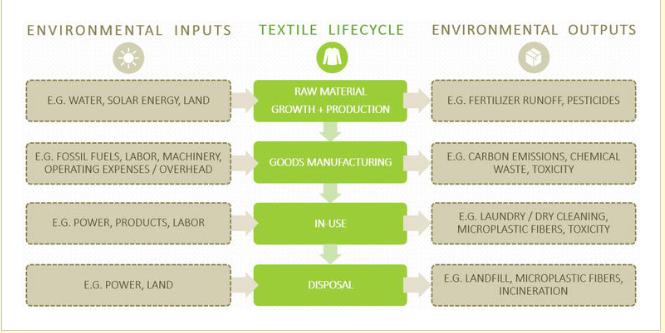 Decoding Environmental implications of fashion design