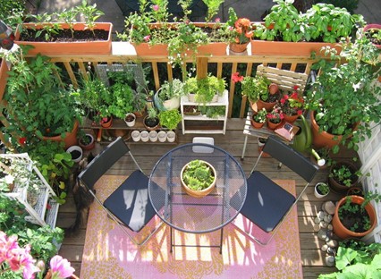 Balcony decks Garden