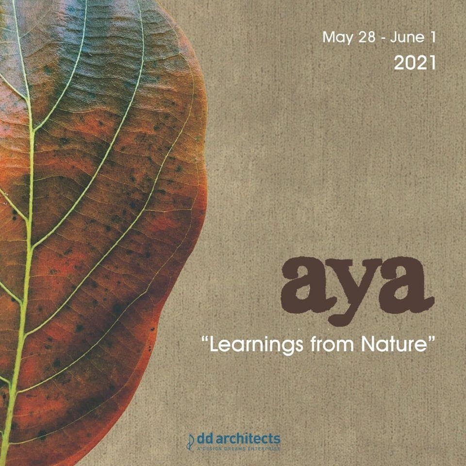Aya - Learnings from Nature