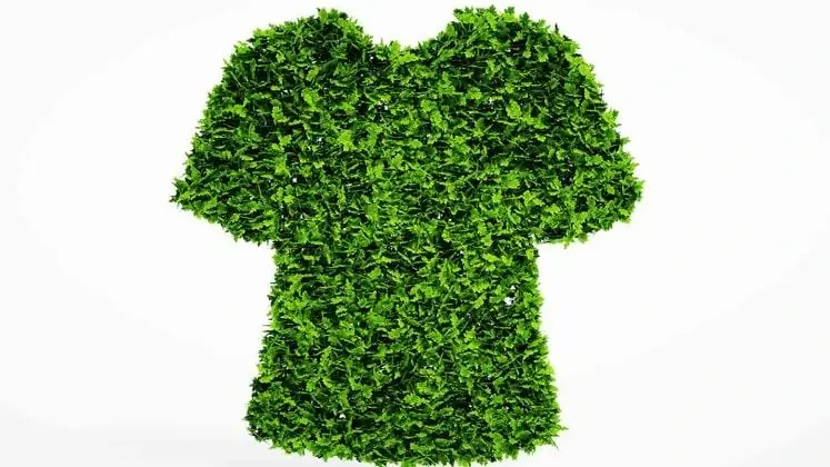 Fashion Industry