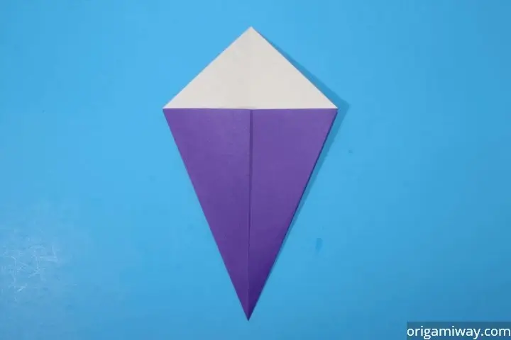  Basic Form of a Kite 