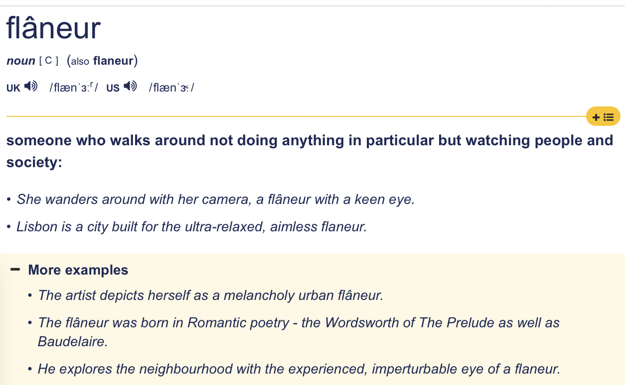 Flaneur meaning
