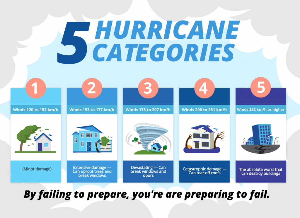 Case study for Infographics