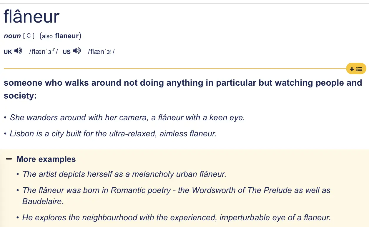 Flaneur meaning