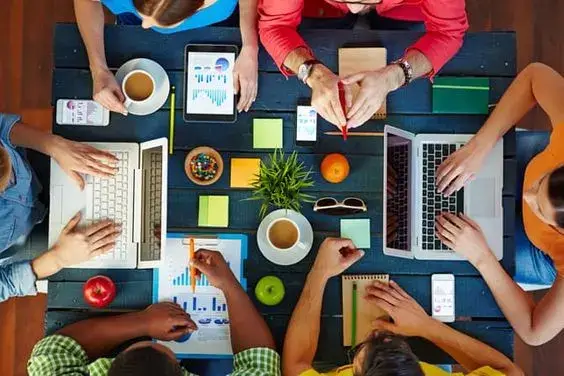 Navigating Bachelor’s in Interior Design Curriculum