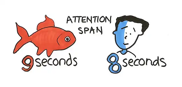 Attention span comparison