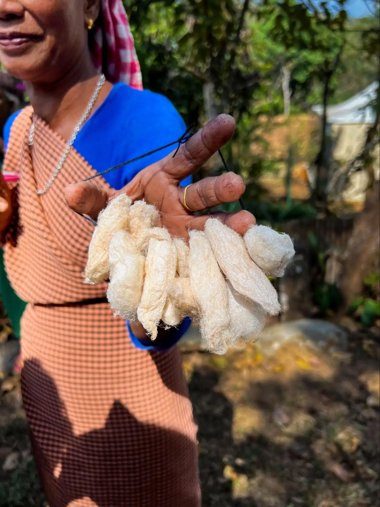 Meghalaya